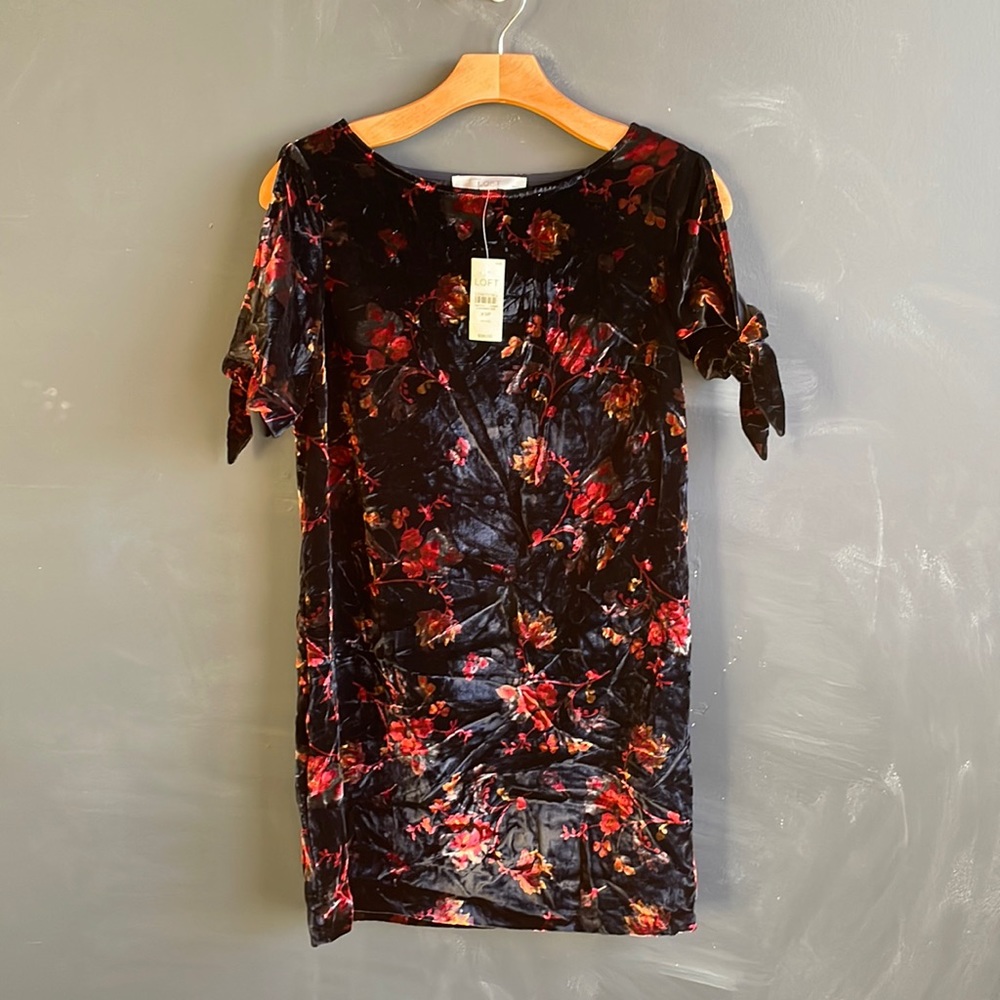 Loft Velvet Dress with Tie Sleeves